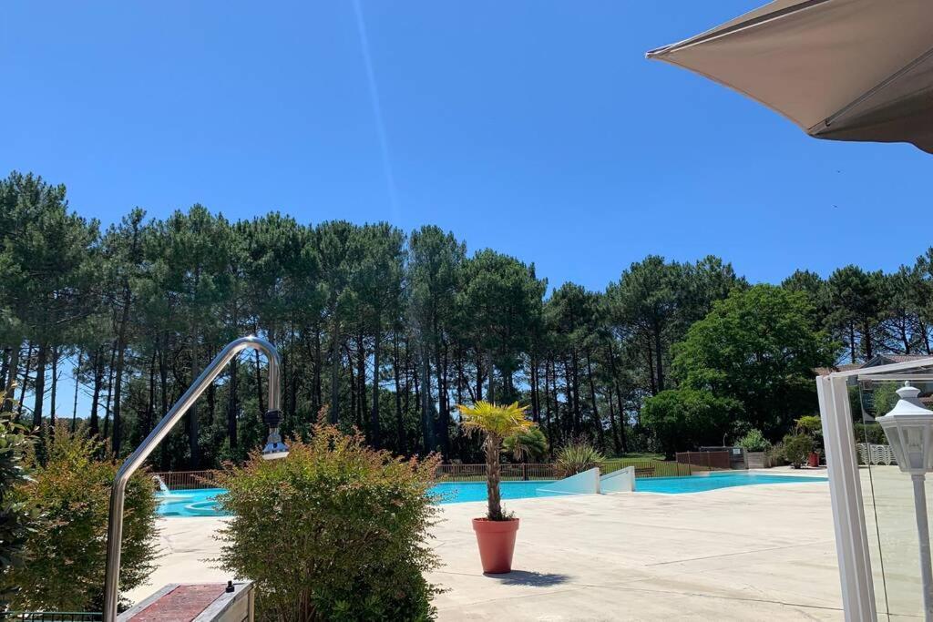 Appartement T2 1Chambre 4-5 Personnes - Lacanau - Piscine - Vue Sur Le Golf Exterior photo